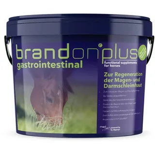 St. Hippolyt Brandon plus Gastrointestinal 3 kg