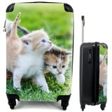 MuchoWow Handgepäckkoffer Kätzchen - Katze - Korb - Mädchen - Kinder - Jungen - Kinder, 4 Rollen, Reisetasche mit rollen, Handgepäck für Ferien, Trolley, Reisekoffer bunt