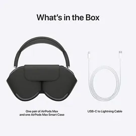 Apple AirPods Max space grau