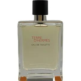 Hermès Terre d'Hermes Eau de Toilette 100 ml