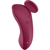 Satisfyer Sexy Secret Connect App