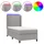 vidaXL Boxspringbett 100 x 200 cm Hellgrau