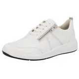 Solidus Kalea | Gr.: 8