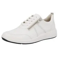 Solidus Kalea | Gr.: 8