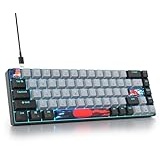 SOLIDEE mechanische Gaming Tastatur 65 Prozent,68 Tasten kompakte mechanische Tastatur RGB Hintergrundbeleuchtung,65 Prozent Tastatur mechanisch QWERTY,Roter Schalter für Win/Mac PC Laptop(68 Dolch)