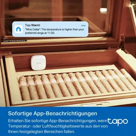 TP-Link Tapo T310 - Intelligenter Temperatur- Feuchtigkeitssensor