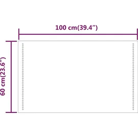 vidaXL LED-Badspiegel 100x60 cm