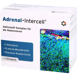 Intercell Pharma Adrenal-Intercell Kapseln 120 St.