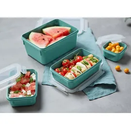 Emsa Clip & Close rechteckig koralle 0,2 l 4-teiliges Set