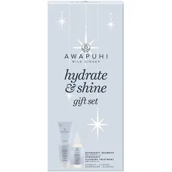 Paul Mitchell Awapuhi Wild Ginger Hydrasoft Duo Gift Set