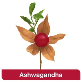 Dr. Loges Ashwagandha Plus Kapseln 120 St
