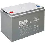 Fiamm - Akku AGM 12FGL100 12V 100Ah M6-F