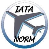 Nobby Skudo IATA grau creme L x B x H: 55 x 36 x 35