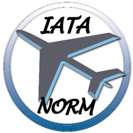 Nobby Skudo IATA grau creme L x B x H: 55 x 36 x 35