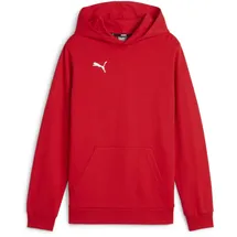 Puma teamGOAL Casuals Hoody Jr Red 116