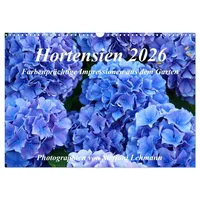 Calvendo Hortensien 2026. Farbenprächtige Impressionen aus dem Garten (Wandkalender