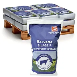 Salvana Silage P 10x25kg - Mineralfutter für Milchkühe