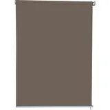 Jet-Line Sichtschutzrollo Außenrollo Braun 1,6 x 2,3 m