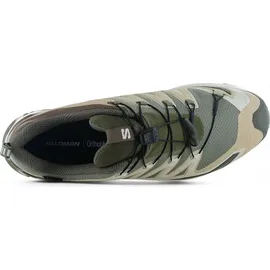 Salomon XA Pro 3D V9 GTX Herren Deep Lichen Green/Safari/Dark Earth 44 2/3