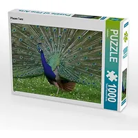 Calvendo Pfauen Tanz 1000 Teile Puzzle quer