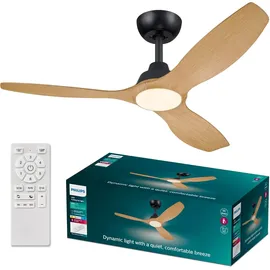 Philips Olas 132 cm Deckenventilator Schwarz