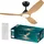 Philips Olas 132 cm Deckenventilator Schwarz