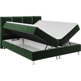 Mirjan24 Boxspringbett Dave Doppelbett Bettgestell Polsterbett Schlafzimmer Kollektion M24 | Fresh 11, | 160x200