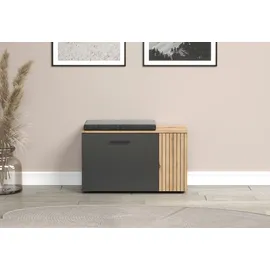 Home Affaire Esteban 80 x 48 x 36 cm grau / grau