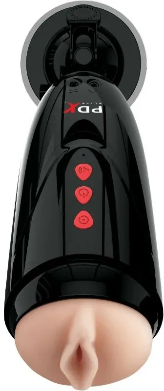 PDX ELITE - DIRTY TALK STARTER STROKER