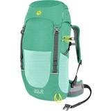 Jack Wolfskin PIONEER 22 PACK, Deep Mint