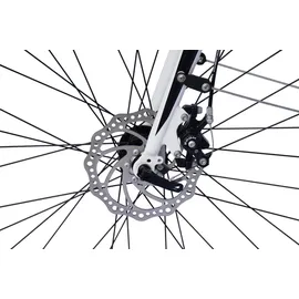 WYNN Gravelbike GRL1.1 28 Zoll RH 54 cm Unisex weiß
