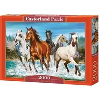 Castorland Call of Nature 2000 pcs Puzzlespiel 2000 Stück(e) Tiere
