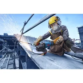 Bosch EXWS30-230B im Karton