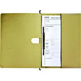 Leitz Hängehefter ALPHA 1912 Karton naturbraun 1 x kaufmännische Heftung, 25 St.