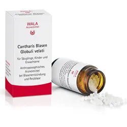 Cantharis Blasen Globuli velati