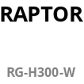 Raptor Gaming H300