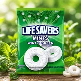 Lifesavers Hard Candy Mints Wint O Green 177g | USA Amerika Import