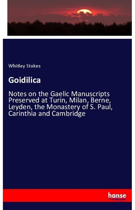 Goidilica - Whitley Stokes  Kartoniert (TB)