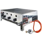 Edelstahl Gasbräter Gasgrill Gastrobräter Tischgrill