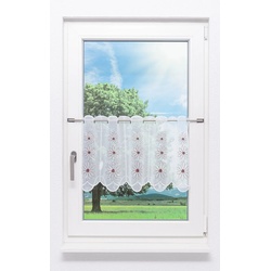 Scheibengardine Plauener Spitze Blütenzauber " (Bx H) 130.40cm * 40cm" Rot/dunkelrot