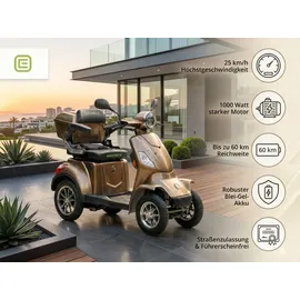 ECONELO P4000 Lithium-Akku Braun