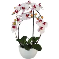 Creativ green Creativ-green Kunstblume Orchidee, Phalaenopsis, 3D-print, im Keramiktopf, 52 cm,