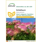 SAFLAX - - 50 Samen - Albizia julibrissin