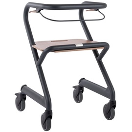 SALJOL Wohnraumrollator 1 St