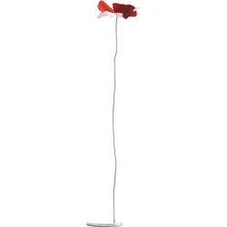 Papavero Delicato Dekoration L Blume rot