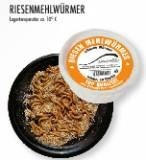 Riesenmehlwürmer lebend 30g Angelköder lebend