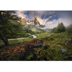 KOMAR Vliestapete »The Last Paradise«, Breite 400 cm, seidenmatt - bunt