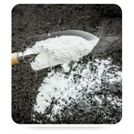 biovita decorative stones & garden minerals Dolomit Calcium- und Magnesiumdünger 10 kg