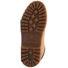 Timberland Womens 6 Inch Lace UP Waterproof Boot wheat 11 Wide Fit