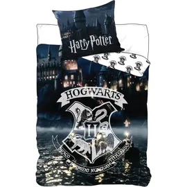HARRY POTTER - Glow in the Dark, - Leuchtet im Dunkeln - Bettwäsche-Set mit Wendemotiv, 135x200 & 80x80 - Schwarz